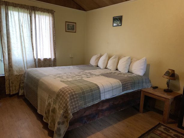 Imagen de la habitación del Hotel Chena Hot Springs Resort. Foto 4