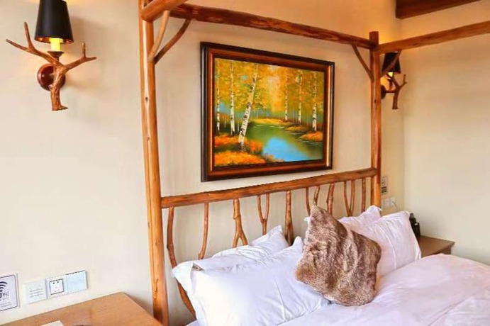 Imagen de la habitación del Hotel Chengdu JR Hotel. Foto 18