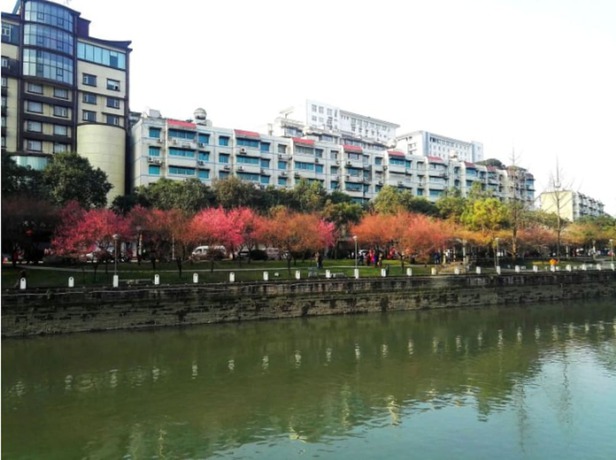 Imagen general del Hotel Chengdu Tianfu Pretty. Foto 2