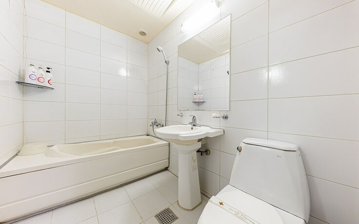 Imagen general del Hotel Cheonan Adonis. Foto 6