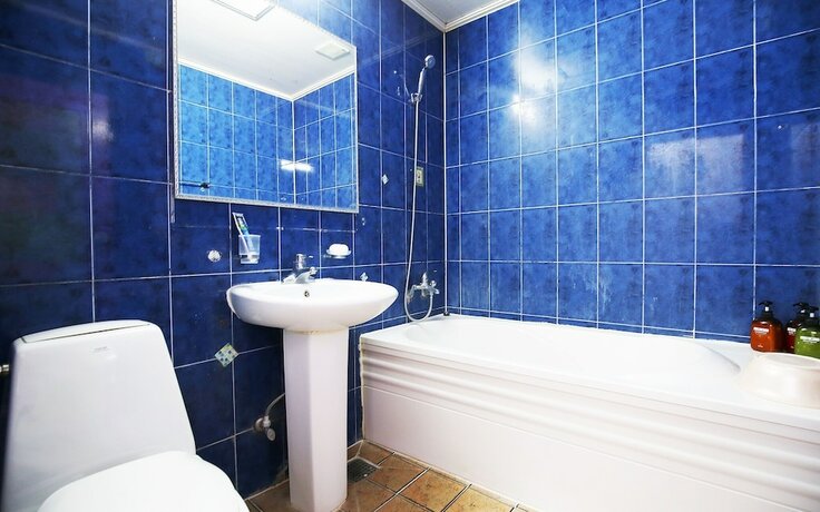 Imagen general del Hotel Cheonan Rosa. Foto 4