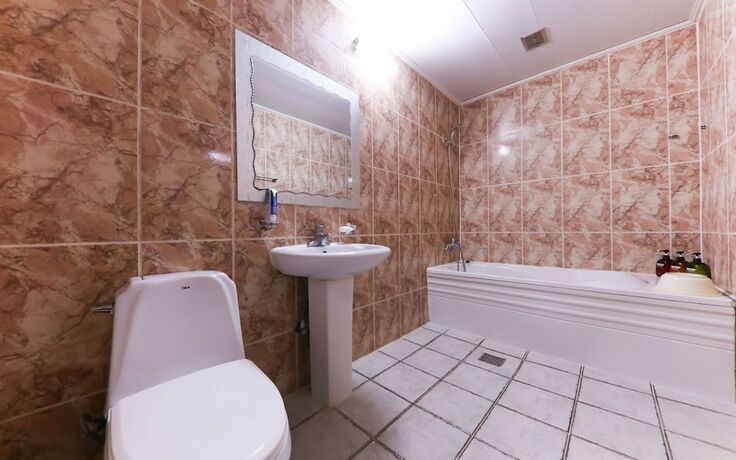 Imagen general del Hotel Cheonan Rosa. Foto 10