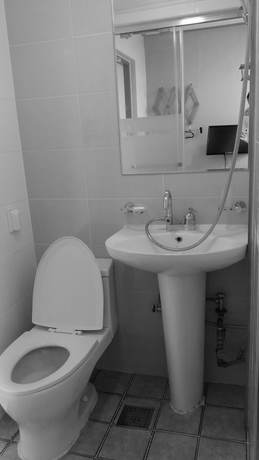 Imagen de la habitación del Hotel Cheonggye Haus. Foto 5