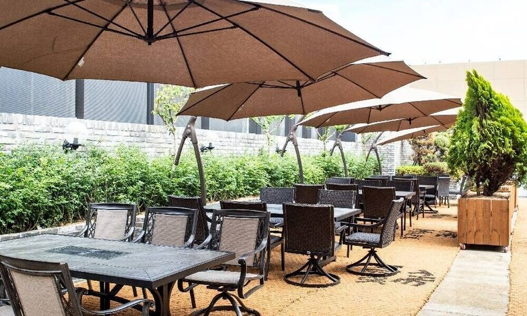 Imagen de los interiores del Hotel Cheongju The Mark. Foto 35