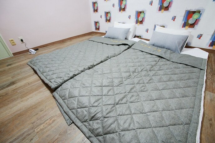 Imagen general del Hotel Cheongpyeong Jijunghae. Foto 14