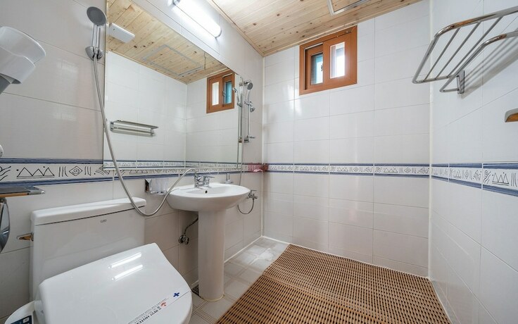 Imagen general del Hotel Cheongpyeong Pine. Foto 13