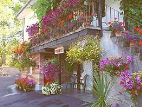 Imagen general del Hotel Cherry Tree Inn Victoria. Foto 5