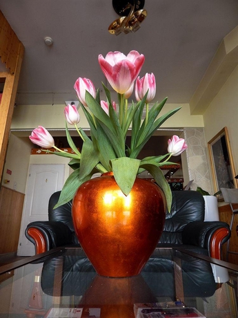 Imagen general del Hotel Chesscom. Foto 16