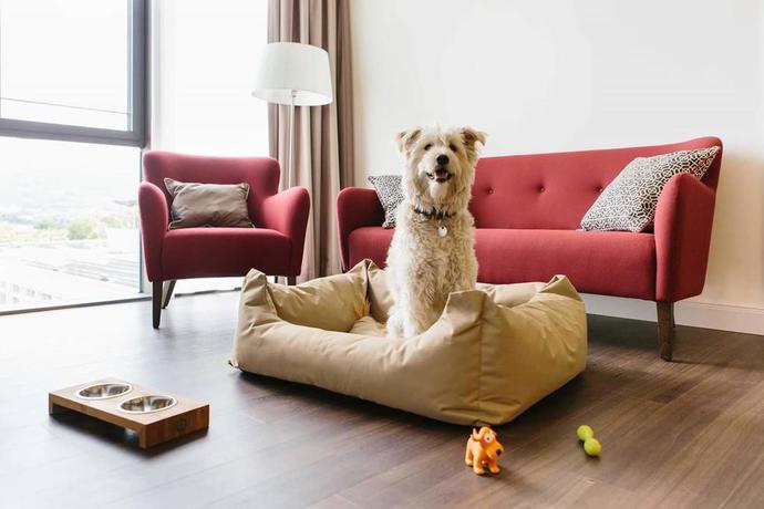 Imagen de la habitación del Hotel Chester Heidelberg. Foto 13