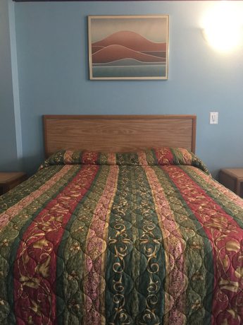 Imagen de la habitación del Hotel Chester Inn Motel. Foto 18