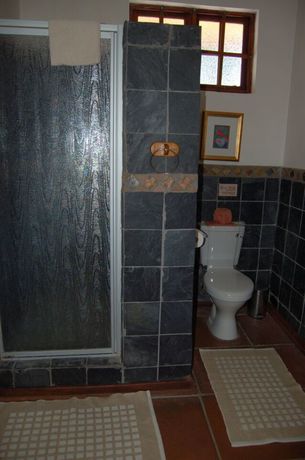 Imagen de la habitación del Hotel Chestnut Country Lodge, Sabi Sands. Foto 2