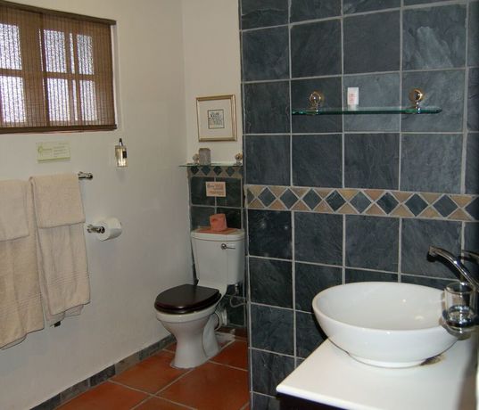Imagen de la habitación del Hotel Chestnut Country Lodge, Sabi Sands. Foto 11