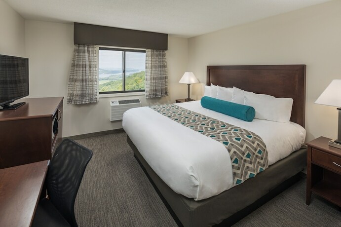 Imagen de la habitación del Hotel Chestnut Mountain Resort. Foto 13