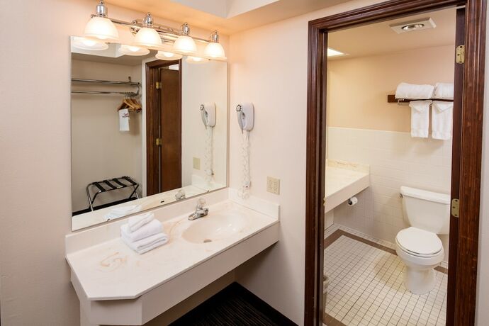 Imagen general del Hotel Chestnut Mountain Resort. Foto 5