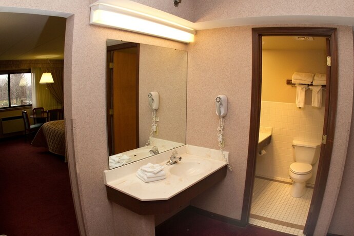 Imagen general del Hotel Chestnut Mountain Resort. Foto 6