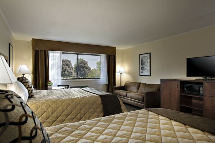 Imagen general del Hotel Chestnut Mountain Resort. Foto 7