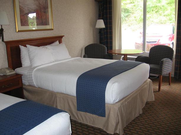 Imagen de la habitación del Hotel Chestnut Tree Inn Cherokee. Foto 4