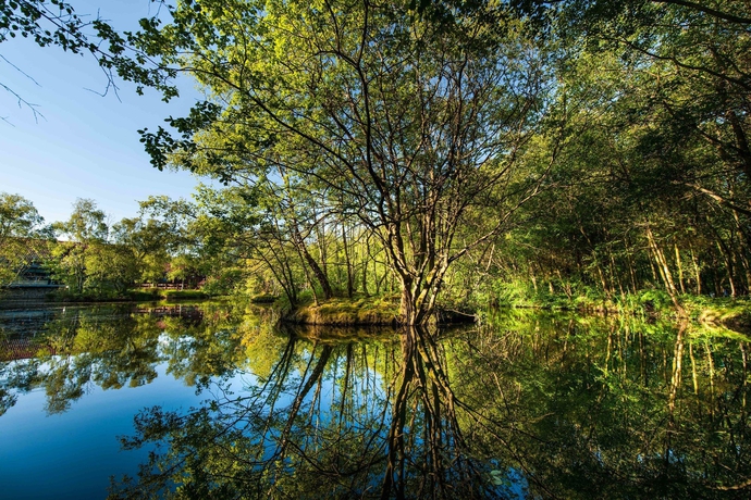 Imagen de los exteriores del Hotel Chevin Country Park and Spa. Foto 12
