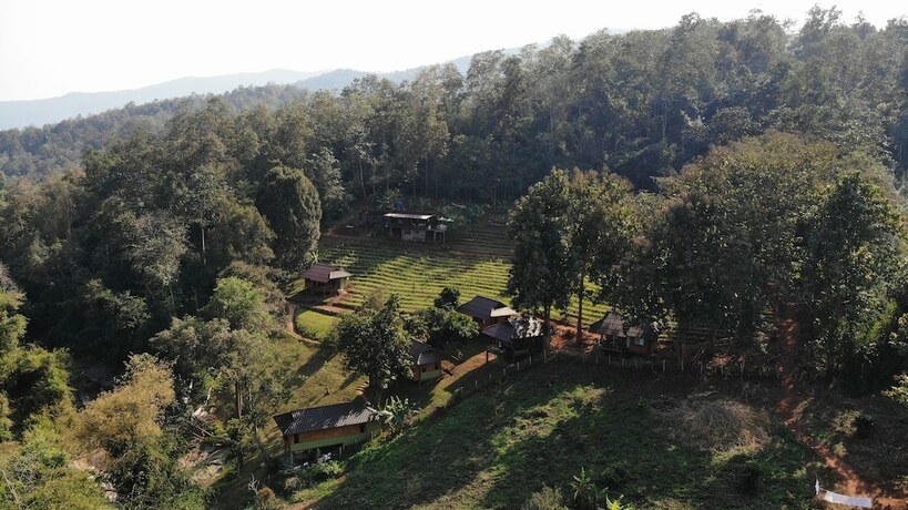 Imagen general del Hotel Chiang Mai Elephant Friends. Foto 3