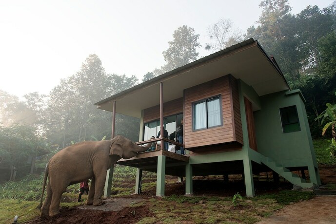 Imagen general del Hotel Chiang Mai Elephant Friends. Foto 4