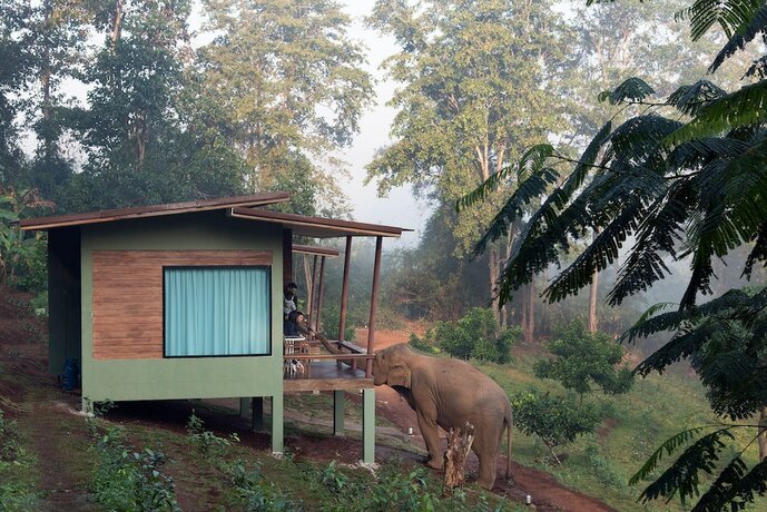 Imagen de la habitación del Hotel Chiang Mai Elephant Friends. Foto 15