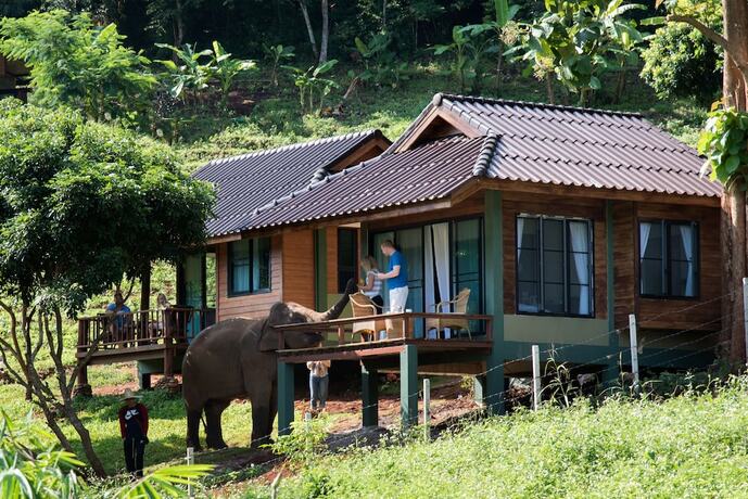 Imagen de la habitación del Hotel Chiang Mai Elephant Friends. Foto 17