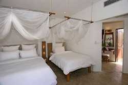 Imagen general del Hotel Chiang Rai Boutique River Reso. Foto 3