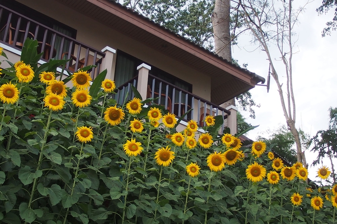 Imagen de la habitación del Hotel Chiangkhong Teak Garden. Foto 6