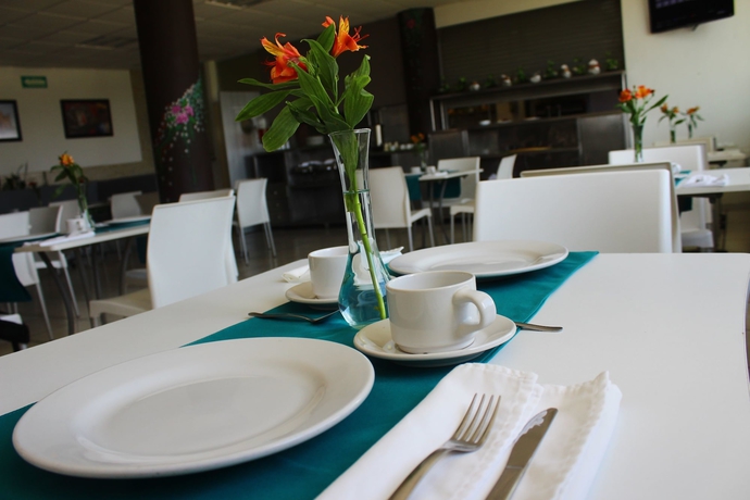 Imagen del bar/restaurante del Hotel Chiapas Express. Foto 7