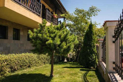 Imagen general del Hotel Chiflika Family. Foto 5