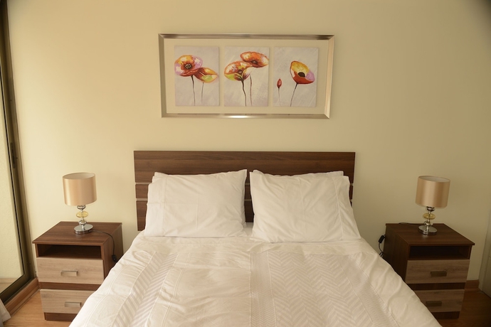 Imagen de la habitación del Hotel Chilean Suites Providencia. Foto 5