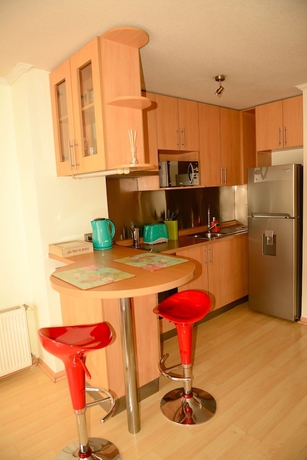 Imagen de la habitación del Hotel Chilean Suites Providencia. Foto 9