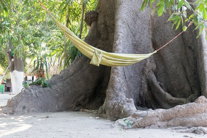 Imagen general del Hotel Chimila Hostel y Camping. Foto 6