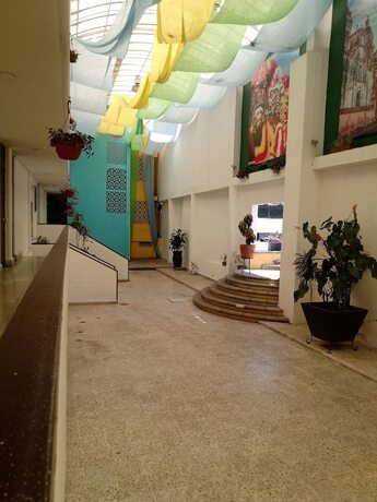 Imagen general del Hotel Chinelos Express. Foto 11