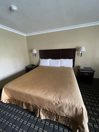 Imagen de la habitación del Hotel Chino Motel. Foto 10