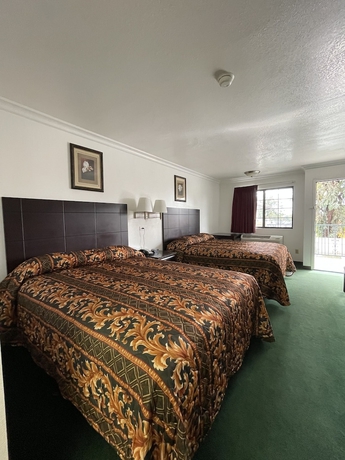 Imagen de la habitación del Hotel Chino Motel. Foto 14