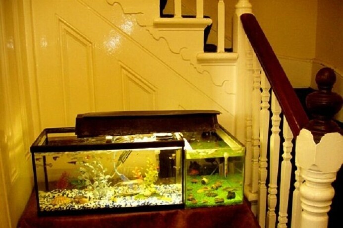 Imagen general del Hotel Chiswick Court. Foto 2