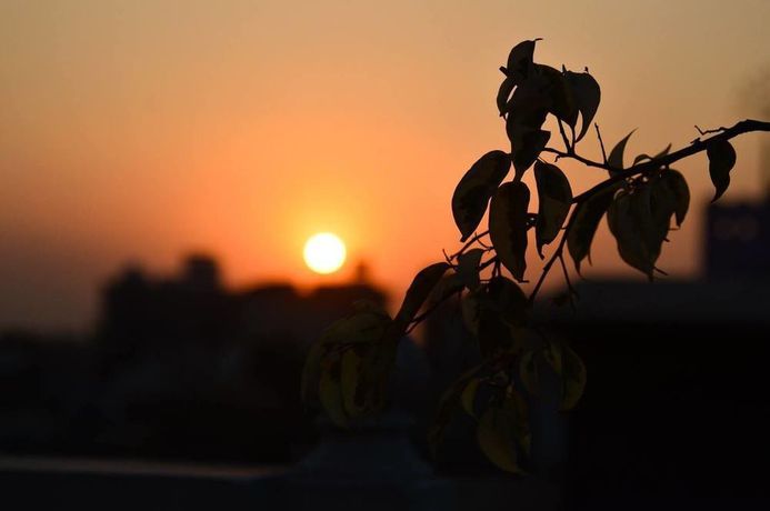 Imagen del bar/restaurante del Hotel Chitrakatha. Foto 5