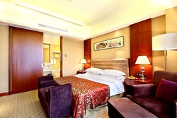 Imagen de la habitación del Hotel Chongqing Tian Lai. Foto 2