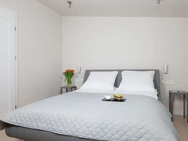 Imagen general del Hotel Chopin Apartments Eco. Foto 12