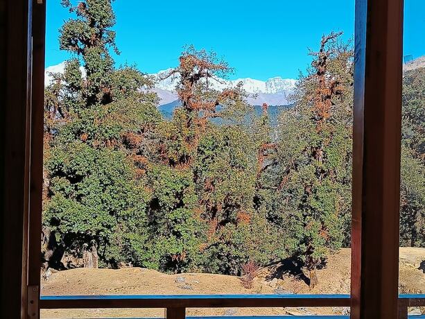 Imagen general del Hotel Chopta Resort. Foto 12