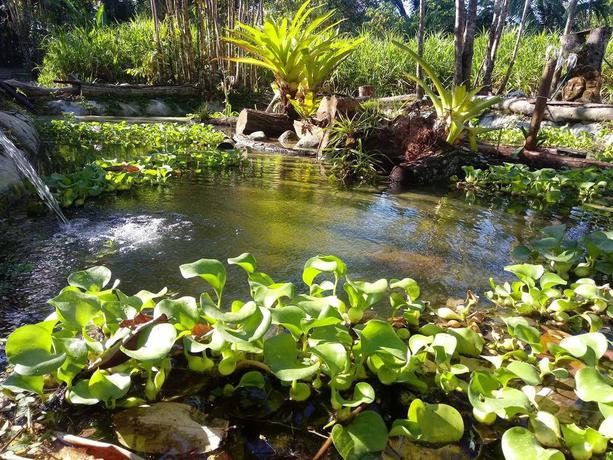 Imagen de los exteriores del Hotel Chosa Manglar Nature Retreat. Foto 10