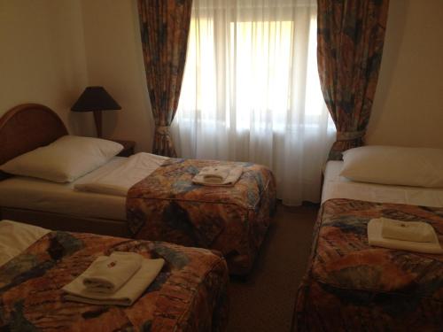 Imagen general del Hotel Chotol. Foto 13