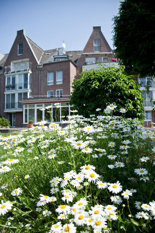 Imagen de los exteriores del Hotel Chrisma. Foto 12