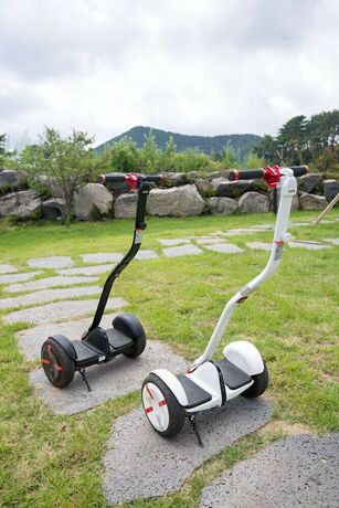 Imagen general del Hotel Christmas Resort. Foto 12