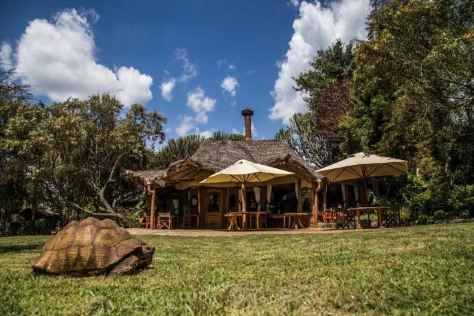 Imagen general del Hotel Chui Lodge. Foto 11