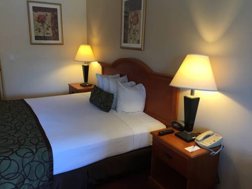 Imagen de la habitación del Hotel Chula Vista Inn. Foto 7