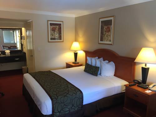 Imagen de la habitación del Hotel Chula Vista Inn. Foto 13