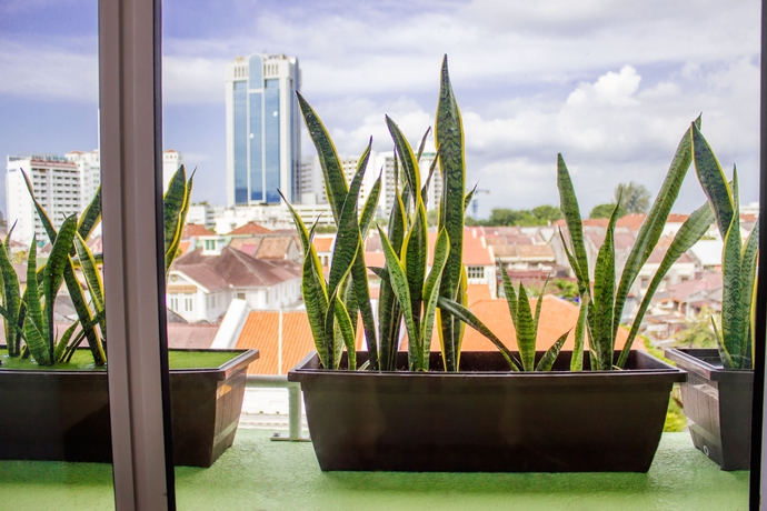 Imagen de la habitación del Hotel Chulia Mansion. Foto 8