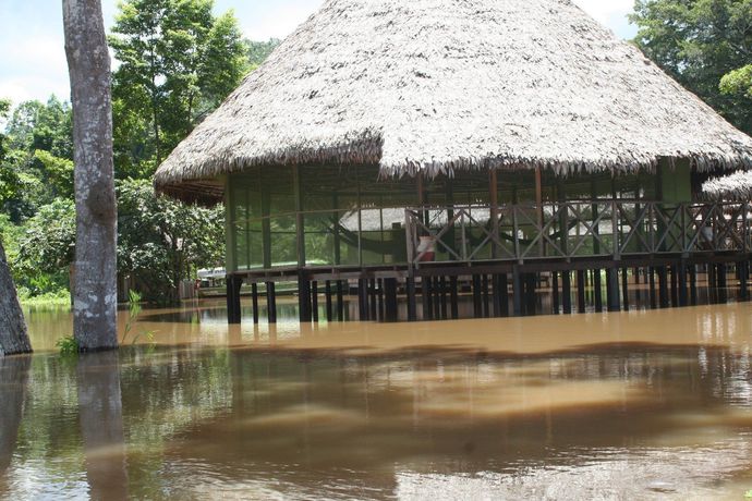 Imagen de la habitación del Hotel Chullachaqui Ecolodge. Foto 6